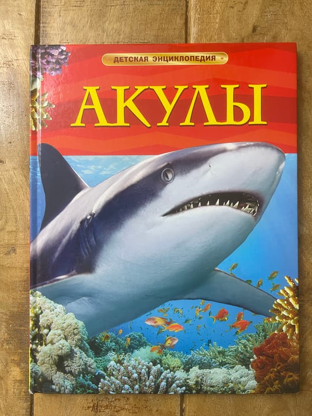Акулы