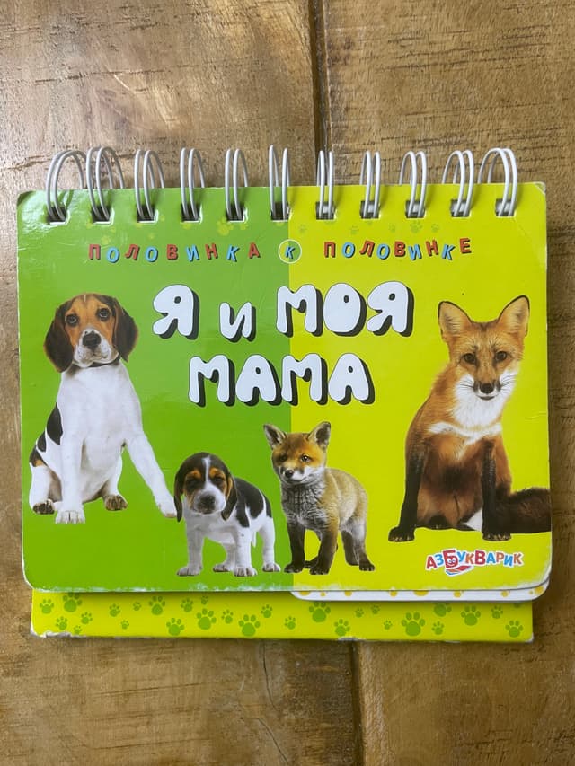 Я и моя мама