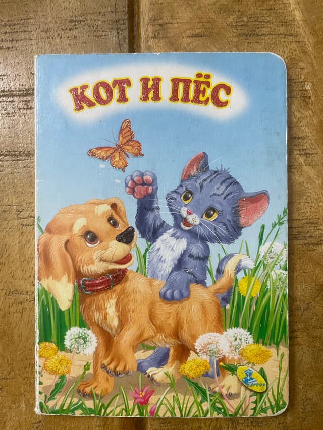 Кот и пёс