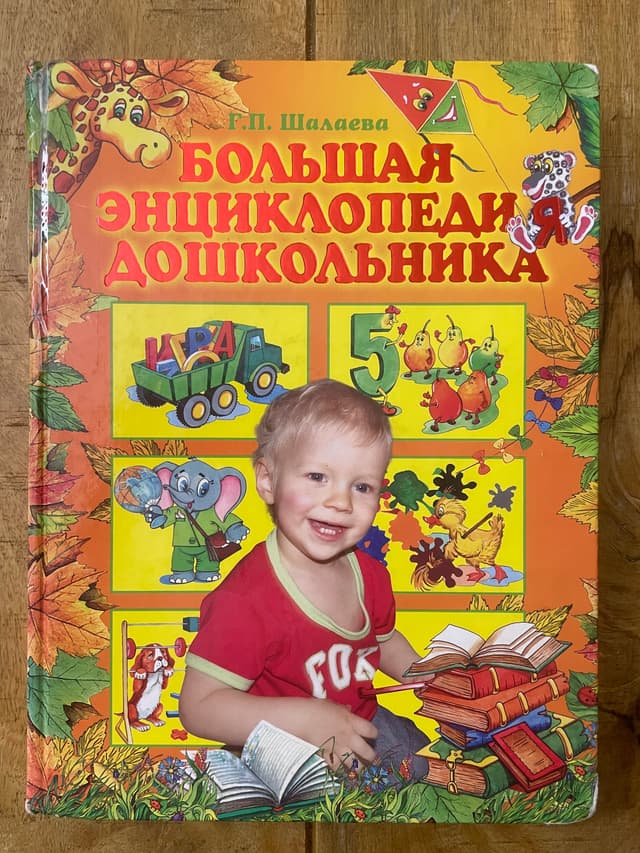 Большая энциклопедия дошкольника